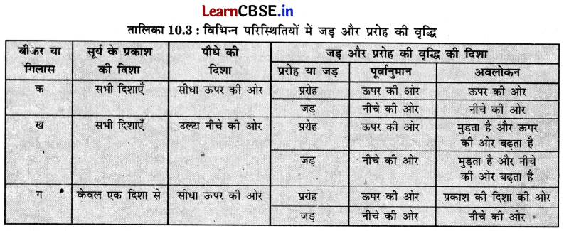 Class 6 Science Chapter 10 Question Answer in Hindi सजीव विशेषताओं का अन्वेषण 11