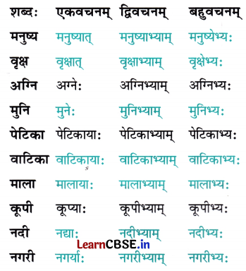 NCERT Class 7 Sanskrit Chapter 9 Question Answer Solutions अन्नाद् भवन्ति भूतानि