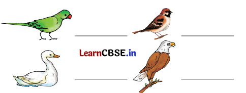 Nature Trail Class 4 Question Answer EVS Chapter 3 7