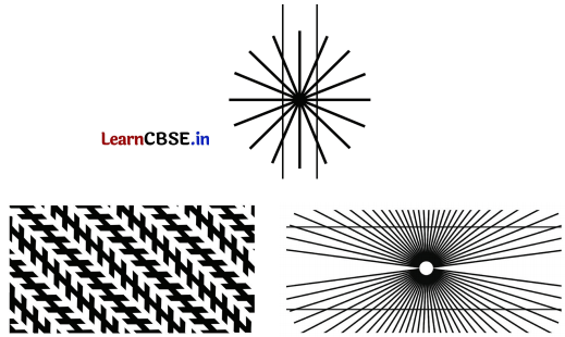 Parallel and Intersecting Lines Class 7 Solutions Ganita Prakash Maths Chapter 5 Page 125 Q1