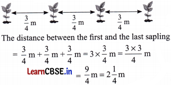 Working with Fractions Class 7 Solutions Ganita Prakash Maths Chapter 8 Page 183 Q4
