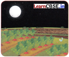 Happy and Healthy Living Class 4 Worksheet with Answers EVS Chapter 6 5