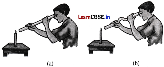 Light Shadows and Reflections Class 7 Worksheet with Answers Science Chapter 11 17