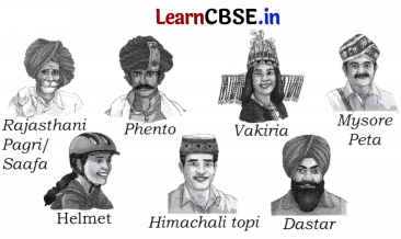 Our Vibrant Country Class 5 Question Answer EVS Chapter 5