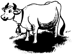 सुंदरिया Class 5 Worksheet with Answers Hindi Chapter 5 2