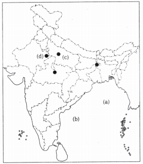 The Colonial Era in India Class 8 Worksheet with Answers Social Science ...
