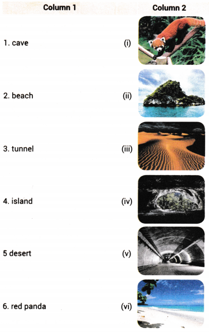 North South East West Class 7 Worksheet with Answers English Chapter 9 1