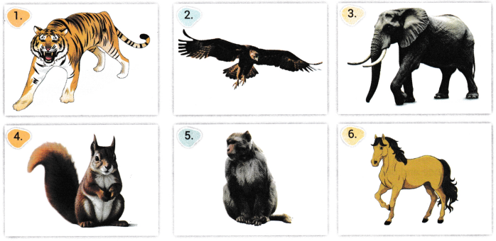 Try Again Class 7 Worksheet with Answers English Chapter 2 1