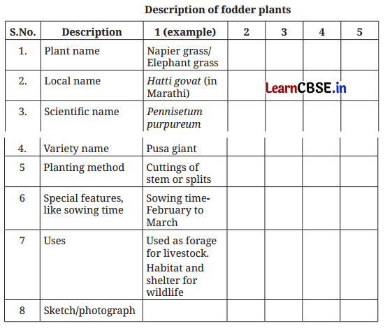 Class 6 Vocational Education Question Answer Project 2 Biodiversity