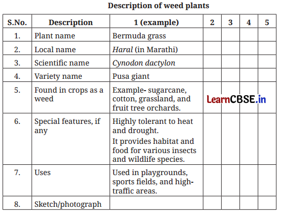 Class 6 Vocational Education Question Answer Project 2 Biodiversity