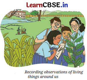 Class 6 Vocational Education Question Answer Project 2 Biodiversity