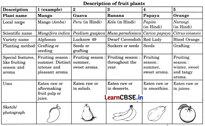 Class 6 Vocational Education Question Answer Project 2 Biodiversity