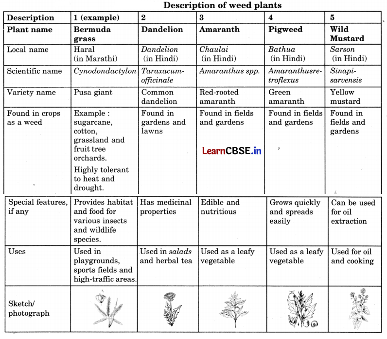 Class 6 Vocational Education Question Answer Project 2 Biodiversity