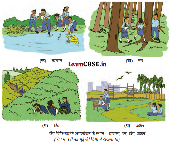 Kaushal Bodh Class 6 Chapter 2 Question Answer in Hindi जैव विविधता