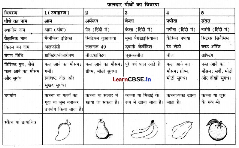 Kaushal Bodh Class 6 Chapter 2 Question Answer in Hindi जैव विविधता