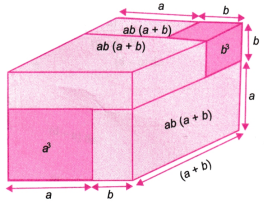 Exploring Algebraic Identities Class 9 Notes Maths Chapter 4 - Learn CBSE