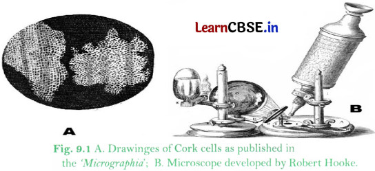 Microscope and Microscopy Class 9 Notes Advanced Science Chapter 9