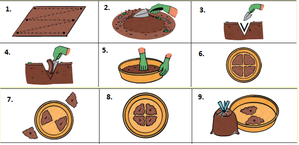 Kaushal Vikas Class 9 Chapter 1 Solutions Introduction to Agricultural ...